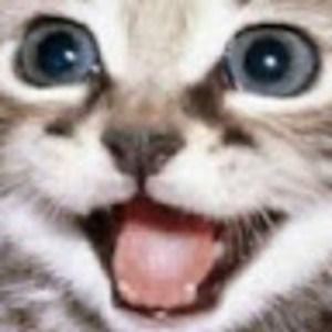 Meet your Posher, Briana